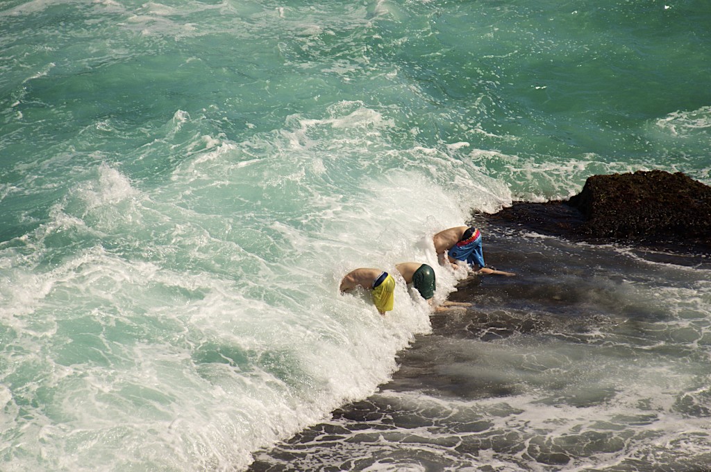 Bondi Beach Swimmers