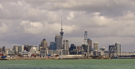 Auckland City View