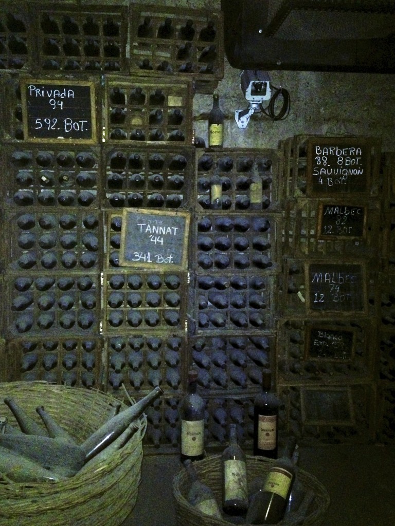 The cellar holding the ancient wines!