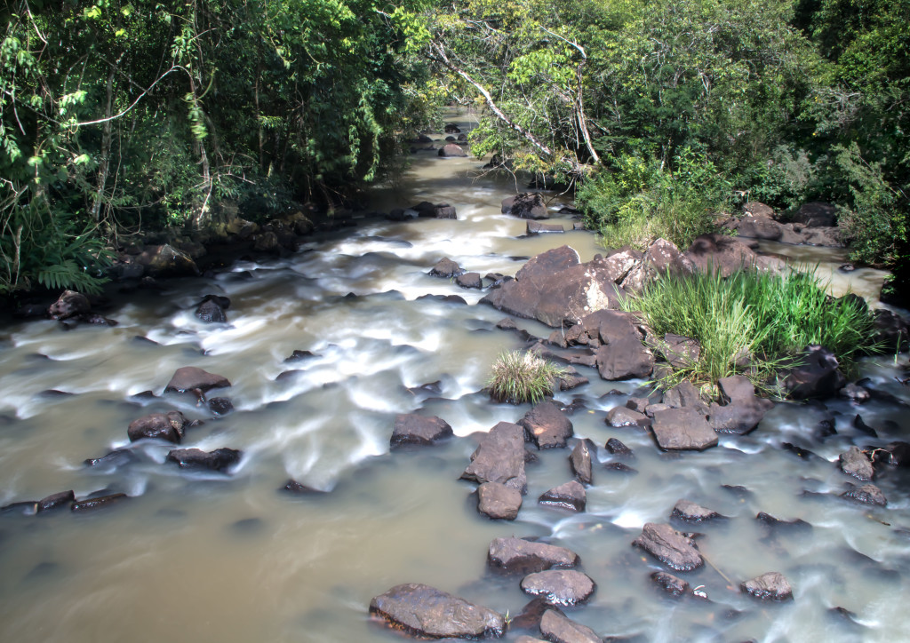 River with rocks